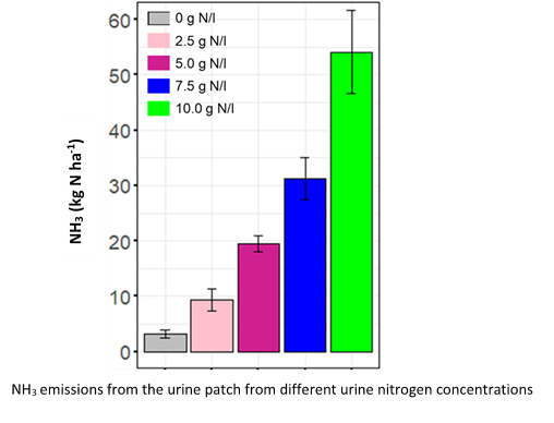 NHs emissions from the urine patch from different urine nitrogen concentrations